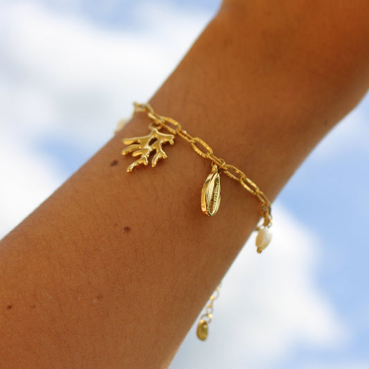 Le Bracelet avec l'algue