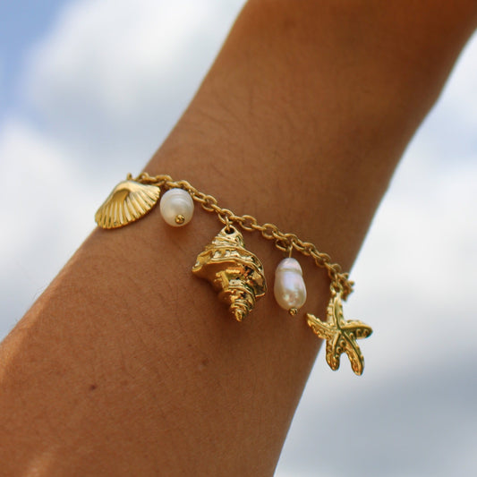 Le bracelet coquillage